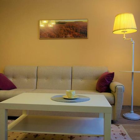 Central Comfortable One-Bedroom Apartment 키시나우 외부 사진